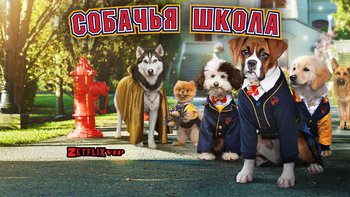 Щенячья академия