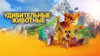 Удивительные животные